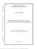 Nghiên ứu hế tạo hất liệu từ trên ơ sở hạt nano từ tính ó á lớp phủ khá nhau