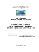 Tran Thi Chau Thao 8D- Bai Tieu Luan.docx