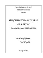 Tv. Tuần 1.Docx