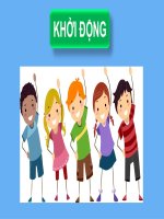Stem Khtn 6 Tế Bào Động Vật.pdf