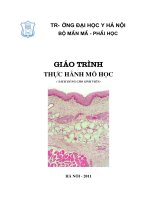 Giáo trình Thực hành Mô học