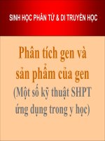 Bài giảng Phân tích gen và sản phẩm của gen một số kỹ thuật