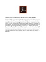 Image based pdf sample