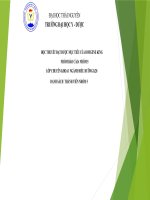 Học Thuyết Đạt Được Mục Tiêu Của Iomgene King.pptx