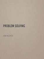 Problem Solving  .Pdf