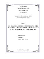 TIỂU LUẬN MARKETING CHIẾN LƯỢC - KẾ HOẠCH MARKETING CHO THƯƠNG HIỆU NƯỚC GIẢI KHÁT NAM LONG VỚI BỘ SƯU TẬP “CHƯƠNG DƯƠNG ĐẤT VIỆT” NĂM 2024