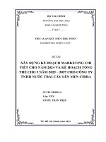TIỂU LUẬN MARKETING CHIẾN LƯỢC - XÂY DỰNG KẾ HOẠCH MARKETING CHI TIẾT CHO NĂM 2024 VÀ KẾ HOẠCH TỔNG THỂ CHO 3 NĂM 2025 – 2027 CHO CÔNG TY TNHH NƯỚC TRÁI CÂY LÊN MEN CIDRA