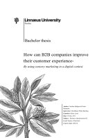 How Can B2B Companies Improve Their Customer Experience.pdf
