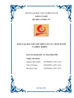BTL cơ cấu chấp hành và điều khiển Haui Nhóm 13