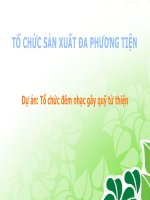 Báo Cáo - Tổ Chức Sản Xuất Đa Phương Tiện - Dự Án - Tổ Chức Đêm Nhạc Gây Quỹ Từ Thiện