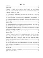 Khóa luận chính trị học chính quyền huyện trong thực thi chính sách xóa đói giảm nghèo ở huyện xaychamphon tỉnh bolikhamxay nước cộng hòa dân chủ nhân dân lào