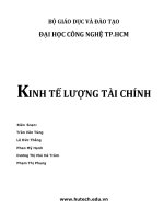 Kinh tế lượng tài chính