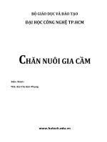 Chăn nuôi gia cầm 2017