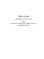 Tiểu luận môn pháp luật đại cương vai trò của pháp luật trong quản lý đời sống xã hội