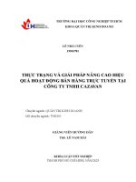 Thực trạng và giải pháp nâng cao hiệu quả hoạt động bán hàng trực tuyến tại công ty tnhh cazavan