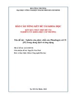Nghiên cứu phức chất của plumbagin với ti(iv) trong dung dịch và ứng dụng báo cáo tổng kết đề tài nghiên cứu khoa học cấp trường