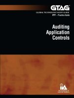 Application audit controls