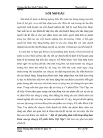 Một số giải pháp phát triển hoạt động bán khóa cửa tại công ty cổ phần khóa việt tiệp