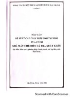 Báo cáo đề xuất cấp gpmt của cơ sở nhà máy chế biến cá tra xuất khẩu