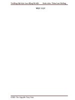 Công tác kế toán tại công ty cổ phần đầu tư phát triển nhà và đô thị tỉnh bắc giang