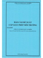 Báo cáo đề xuất cấp gpmt giấy vạn điểm