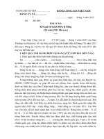 Bao cao thi hanh dieu le dang (1)