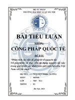 Phân tích các vấn đề pháp lý về nguyên tắc Uti possidetis và thực tiễn áp dụng nguyên tắc trong quá trình xác định biên giới trên bộ giữa Việt Nam và các nước