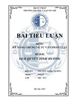 Bài tiểu luận đạt 10 điểm môn kỹ năng chung về tư vấn pháp luật, trường đại học Luật Hà Nội