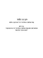 Tiêu luận lich sử tư tưởng chính trị  nội dung tư tưởng chính trị hồ chí minh trước năm 1945