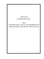Tiểu luận cao học   vận động hành lang của các hiệp hội kinh tế trên thế giới và liên hệ thực tiễn việt nam