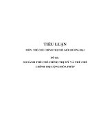 Tiểu luận cao học   thể chế chính trị thế giới đương đại   so sánh thể chế chính trị mỹ và thế chế chính trị cộng hòa pháp