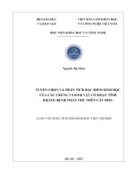 TUYỂN CHỌN VÀ PHÂN TÍCH ĐẶC ĐIỂM SINH HỌC CỦA CÁC CHỦNG VI SINH VẬT CÓ HOẠT TÍNH KHÁNG BỆNH THÁN THƯ TRÊN CÂY ĐIỀU ĐIỂM CAO