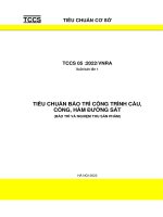 TIÊU CHUẨN CƠ SỞ VỀ BẢO TRÌ CÔNG TRÌNH CẦU, CỐNG, HẦM ĐƯỜNG SẮT (BẢO TRÌ VÀ NGHIỆM THU SẢN PHẨM)