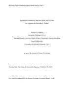 REVISITING THE SUSTAINABLE HAPPINESS MODEL AND PIE CHART