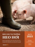 THỊ TRƯỜNG HEO HƠI - BÁO CÁO CẬP NHẬT