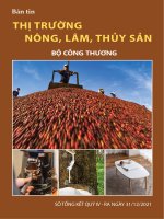 BẢN TIN THỊ TRƯỜNG NÔNG, LÂM, THỦY SẢN BỘ CÔNG THƯƠNG SỐ TỔNG KẾT QUÝ IV - RA NGÀY 31122021