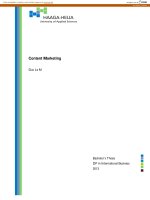 SỬ DỤNG CONTENT MARKETING ĐỂ QUẢNG BÁ WEBSITE CHO MỘT DOANH NGHIỆP NHỎ