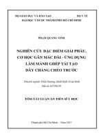 NGHIÊN CỨU ĐẶC ĐIỂM GIẢI PHẪU, CƠ HỌC GÂN MÁC DÀI - ỨNG DỤNG LÀM MẢNH GHÉP TÁI TẠO DÂY CHẰNG CHÉO TRỚC