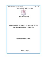 Nghiên cứu ngã và các yếu tố nguy cơ ở người bệnh cao tuổi