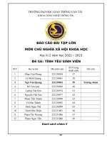 Báo Cáo Bài Tập Lớn Môn Chủ Nghĩa Xã Hội Khoa Học Tình Yêu Sinh Viên.pdf