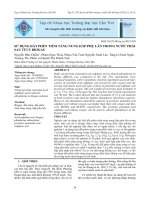 USING PYROLYTIC POTENTIAL ACID SULPHATE SOIL TO ADSORB PHOSPHORUS IN BIOGAS SOLUTION