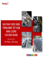 GIẢI PHÁP CHIẾU SÁNG THÔNG MINH TIẾT KIỆM NĂNG LƯỢNG CỦA ĐIỆN QUANG
