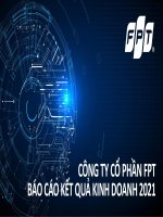 CÔNG TY CỔ PHẦN FPT  BÁO CÁO KQKD 2021