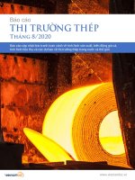 BÁO CÁO THỊ TRƯỜNG THÉP THÁNG 82020