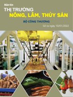 BẢN TIN THỊ TRƯỜNG NÔNG, LÂM, THỦY SẢN BỘ CÔNG THƯƠNG