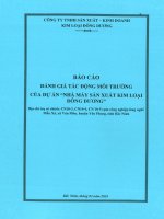 Báo cáo đánh giá tác động môi trường của Dự án “Nhà máy sản xuất kim loại Đông Dương