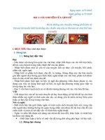 1 1 lá cờ thêu sáu chữ vàng