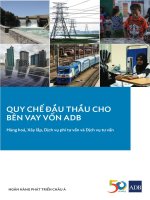 MỤC LỤC QUY CHẾ ĐẦU THẦU CHO BÊN VAY VỐN ADB