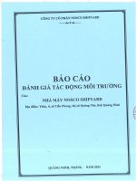 Báo cáo ĐTM dự án “Đầu tư xây dựng Nhà máy Nosco Shipyard”