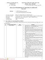 BÁO CÁO TÌNH HÌNH QUẢN TRỊ CÔNG TY NIÊM YẾT (NĂM 2019)